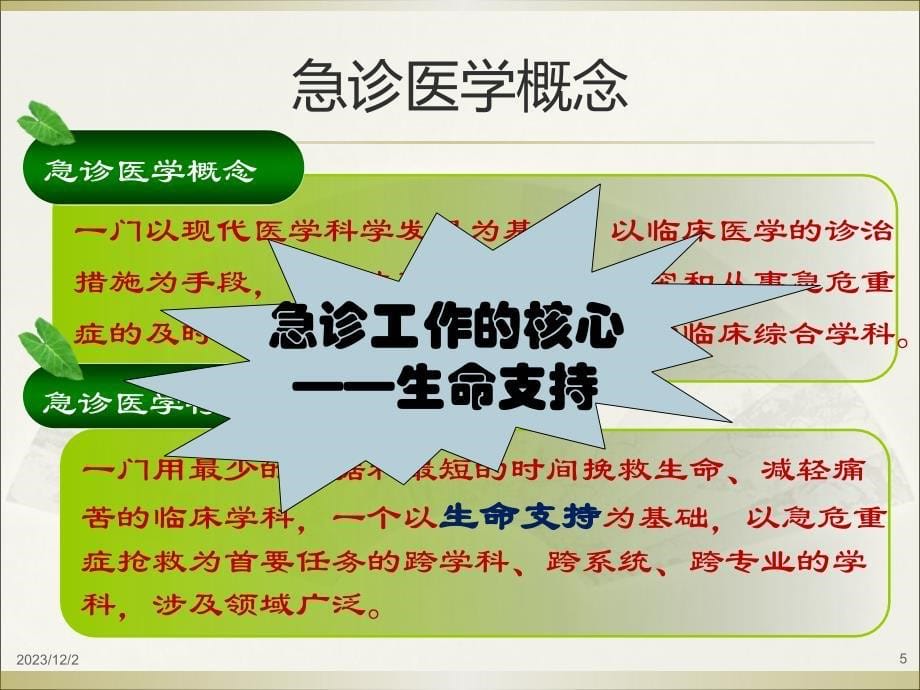 急诊医疗安全与质量管理四川大学华西医院急诊科_第5页