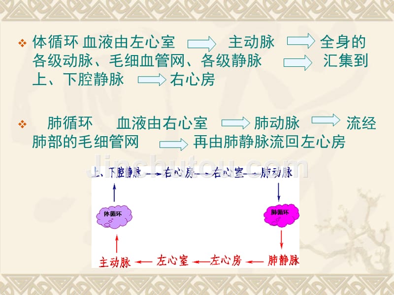 药理学抗慢性心功能不全药物_第4页