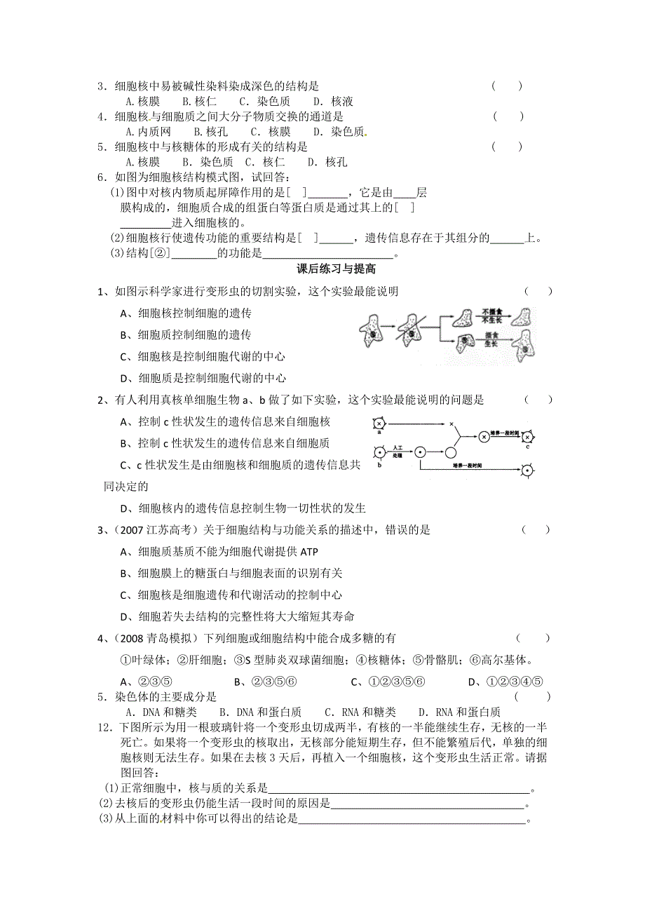 必修一第三章第3节《细胞核——系统的控制中心》导学案_第3页