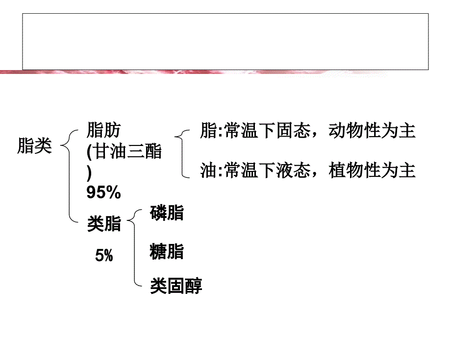 食品营养 项目二  脂类_第4页