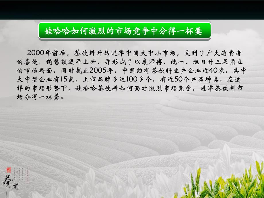 娃哈哈目标市场定位分析_第4页