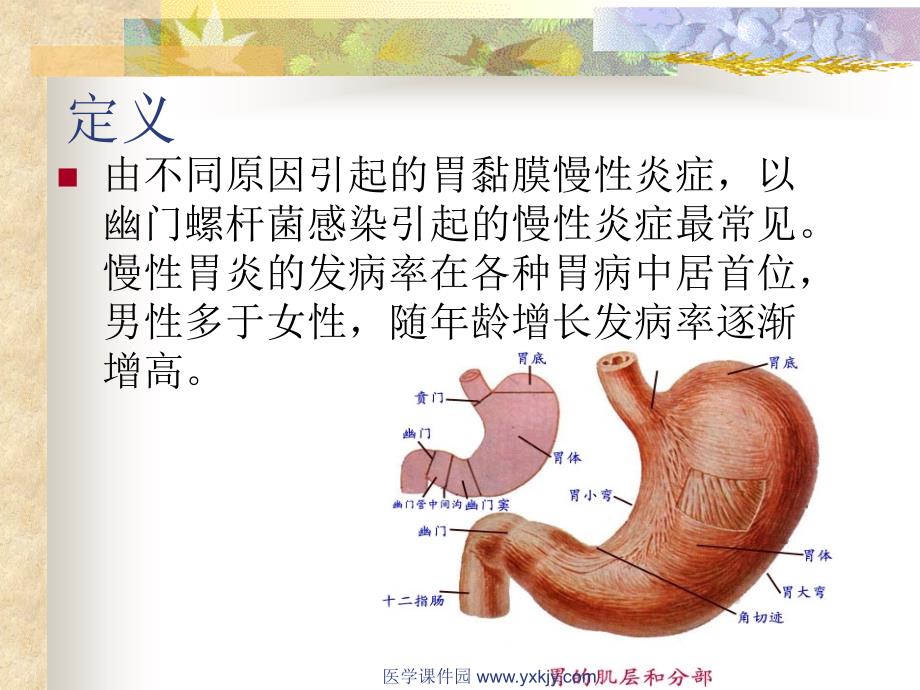 慢性胃炎患者的护理_第3页