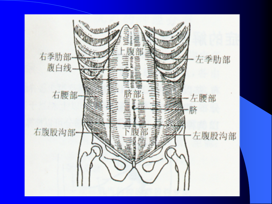 急腹症的诊断及治疗_第4页