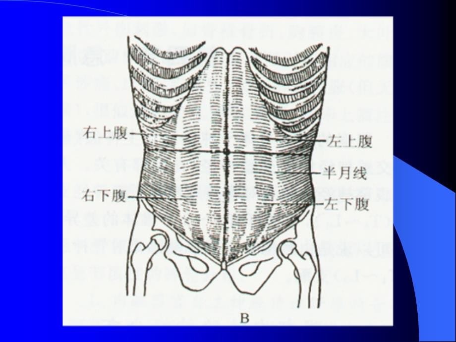 急腹症的诊断及治疗_第5页