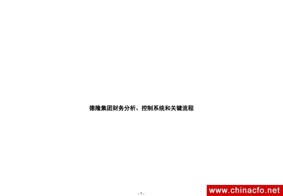 德隆集团财务分析、控制系统_第1页