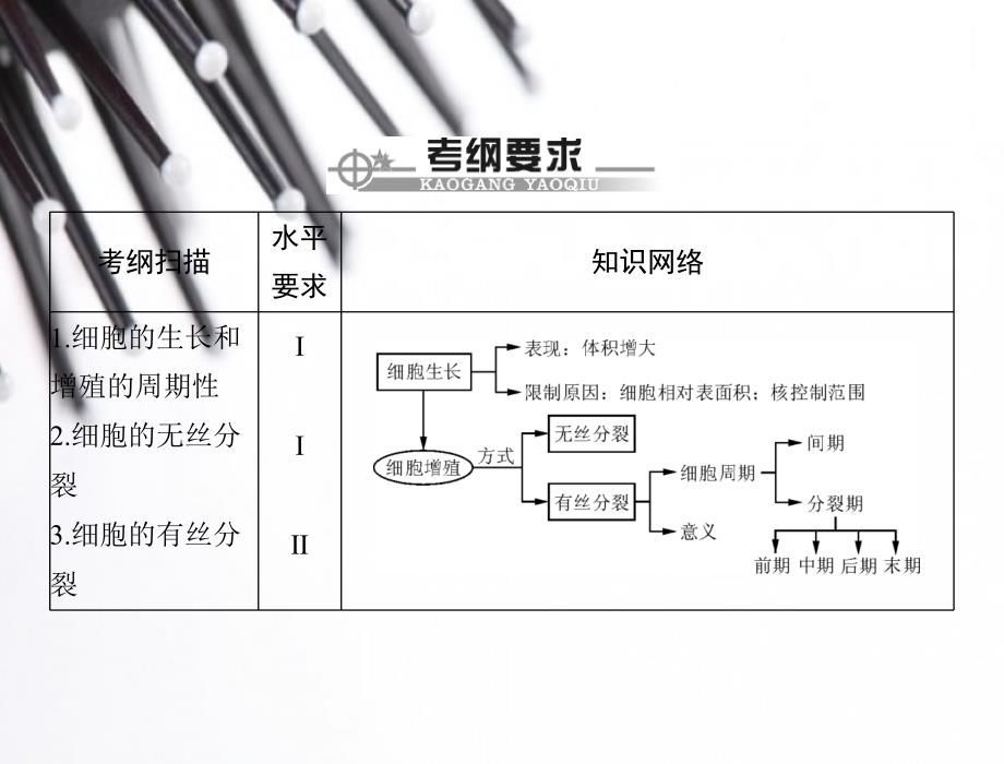 【百年学典】2015高中生物(广东专用)学业水平测试配套课件：专题四 细胞的增殖_第2页