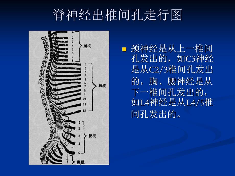 腰椎间盘突出的诊断问题_第2页