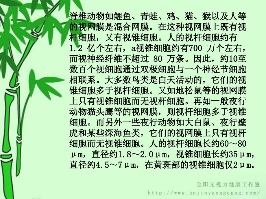 脊椎动物眼睛的特点_第2页