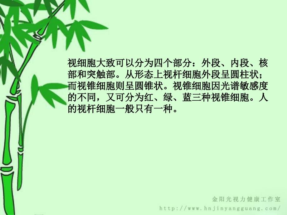 脊椎动物眼睛的特点_第3页