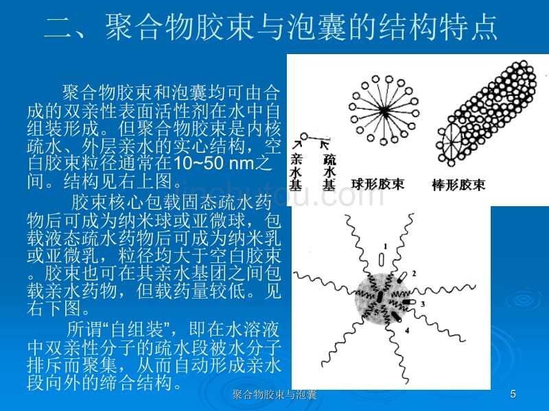 新型给药系统：聚合物胶束与泡囊_第5页