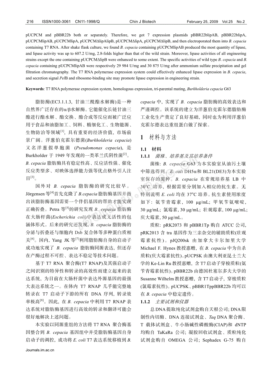 基于t7 表达系统的洋葱伯克霍尔德菌g63 脂肪酶同源_第2页