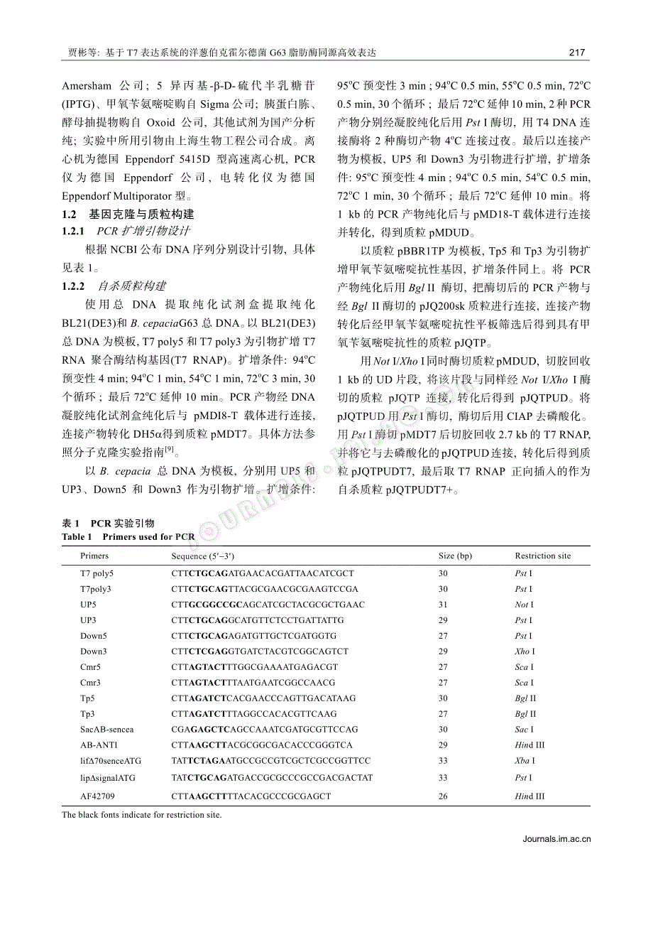 基于t7 表达系统的洋葱伯克霍尔德菌g63 脂肪酶同源_第3页