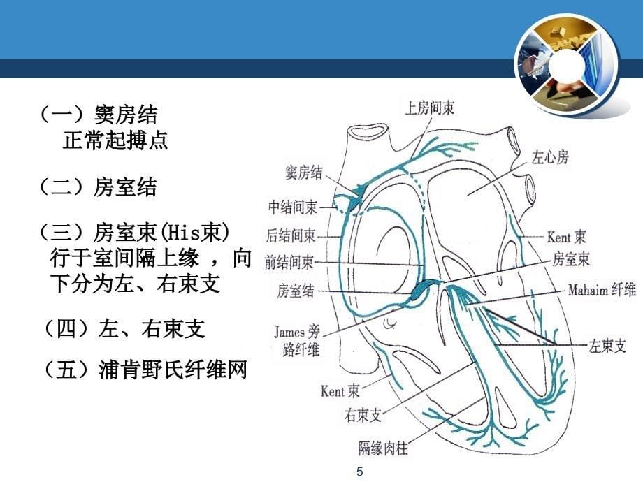 循环系统常见症状体征的护理_第5页