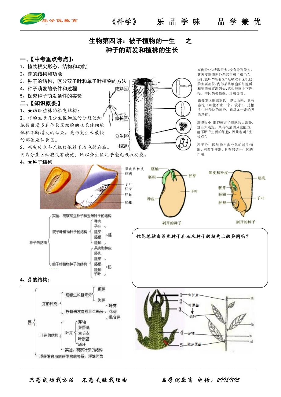 生物第四讲：被子植物的一生之种子萌发和植株生长 (学生版)_第1页
