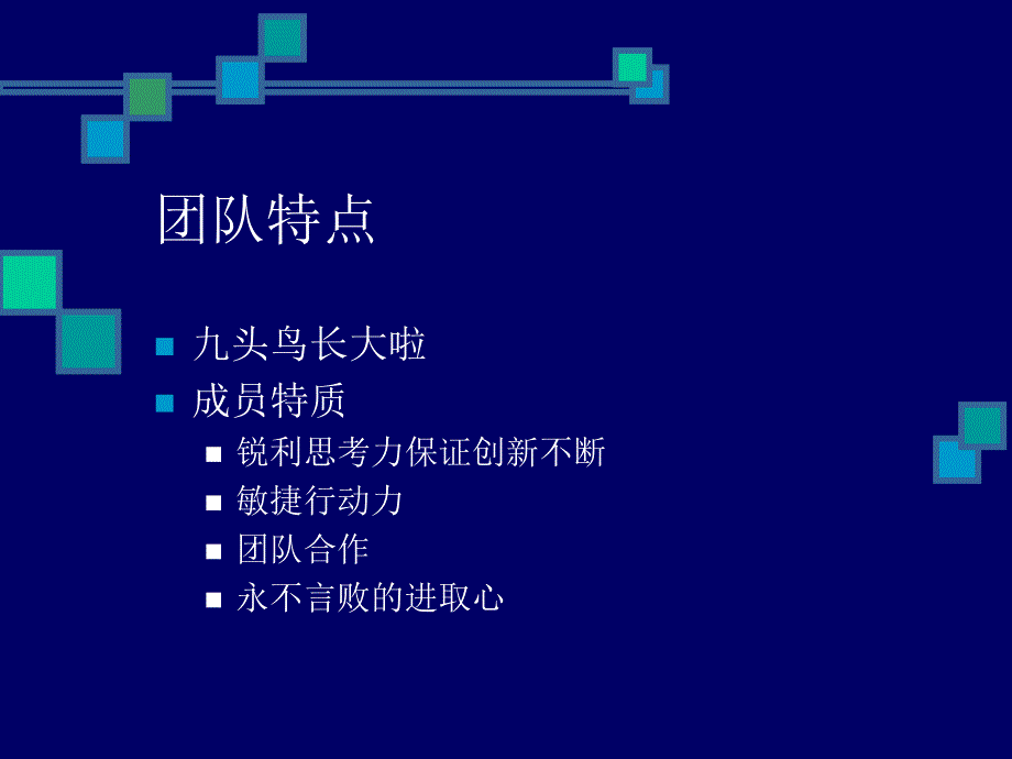 市场计划 .ppt_第2页