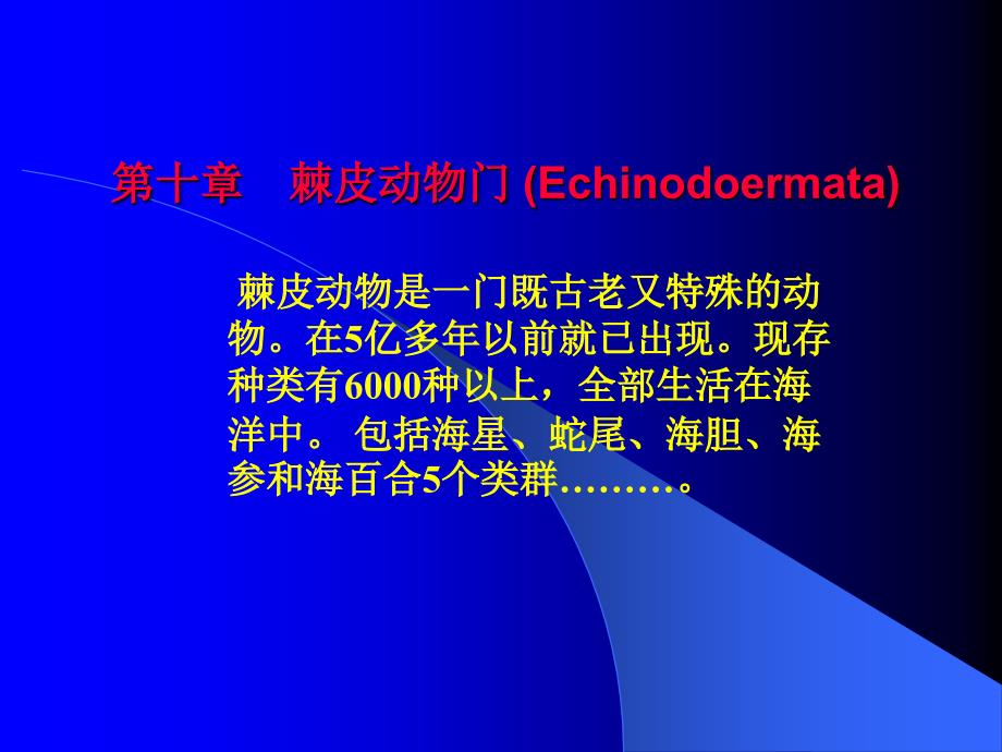 无脊椎动物学3_第1页