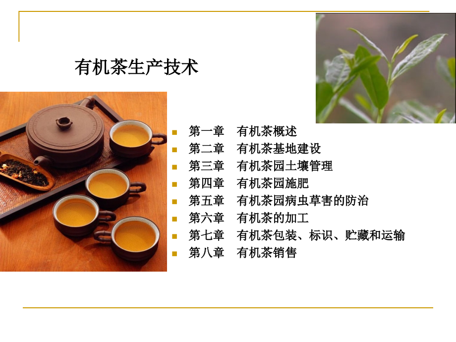 有机茶栽培技术_第1页