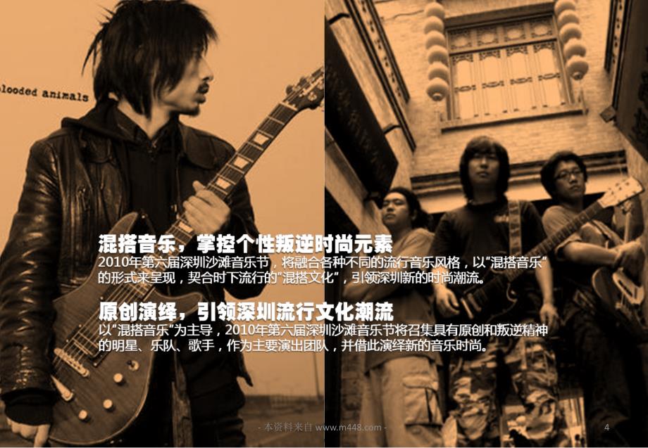 2010深圳沙滩音乐节活动策划方案_第4页