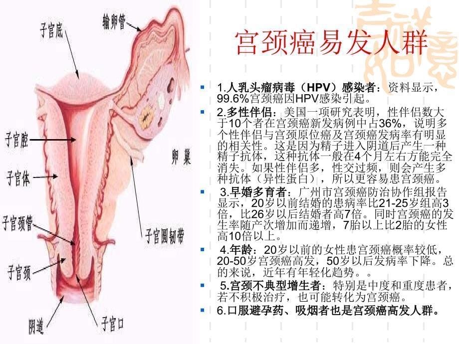 关注女性健康_开展两癌筛查_第5页