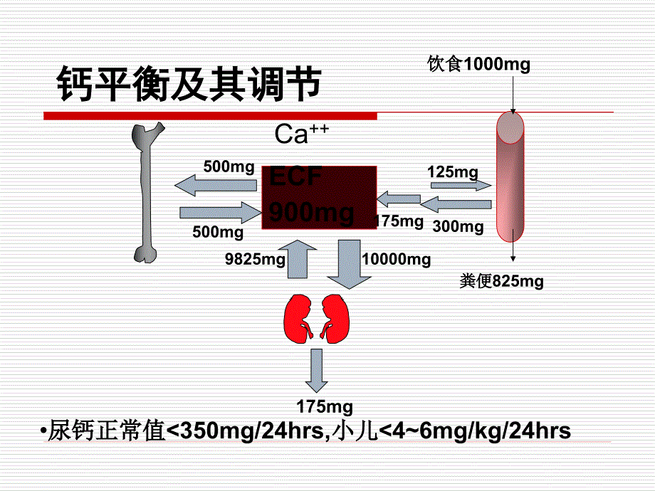 骨软化症的诊断和治疗_第4页