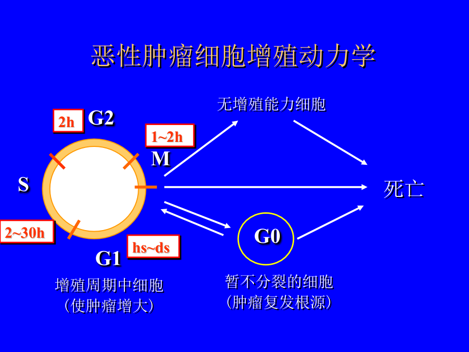 消化道肿瘤常用化疗方案_第4页