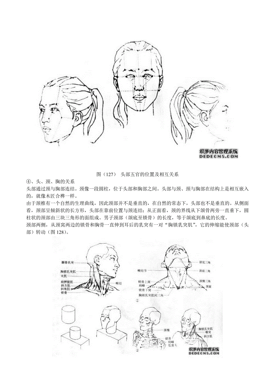 已打印-素描教程大全——头部结构及五官结构理论讲解汇总_第4页