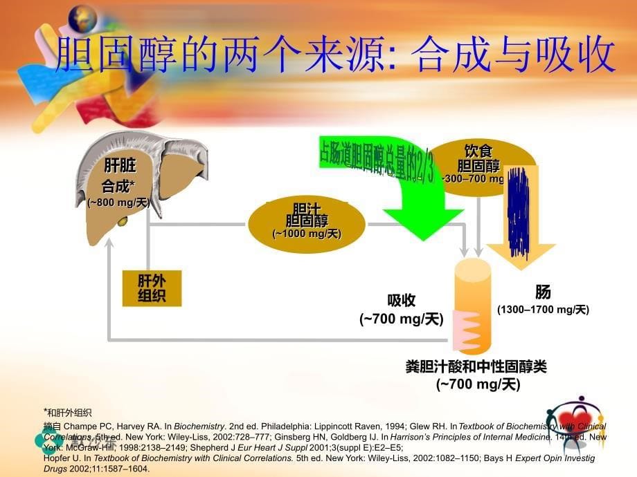 高血脂危害与防治_第5页