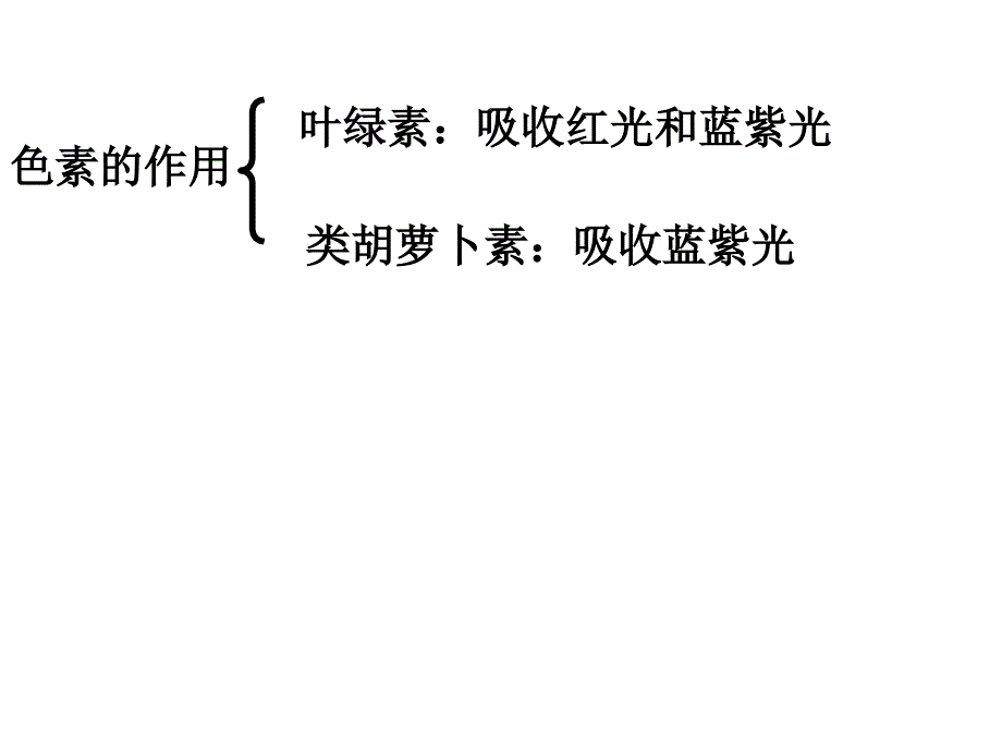 光合作用主要考点_第3页