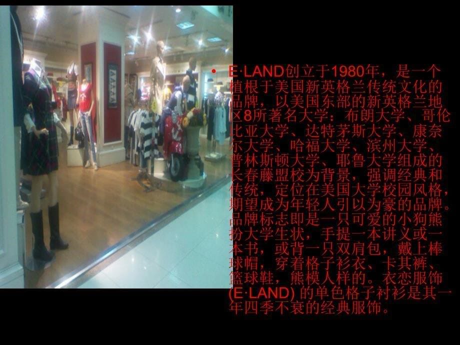 e-land服装市场营销_第5页