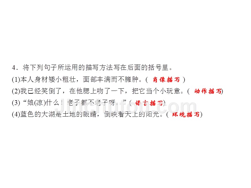 2017人教版八年级语文下册第2课《我的母亲》同步习题课件 (共23张)_第5页