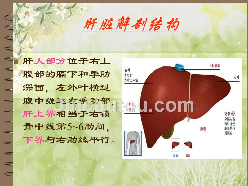 一例肝癌患者的护理查房_第3页