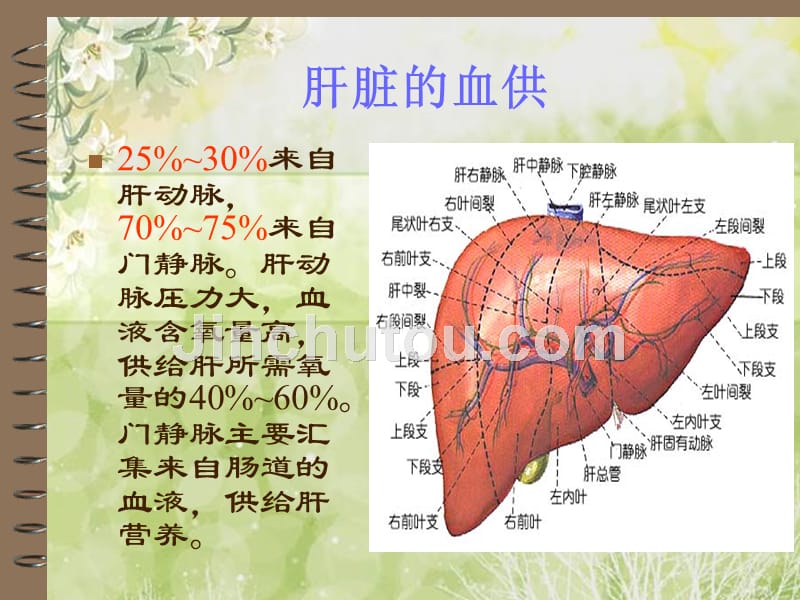 一例肝癌患者的护理查房_第5页