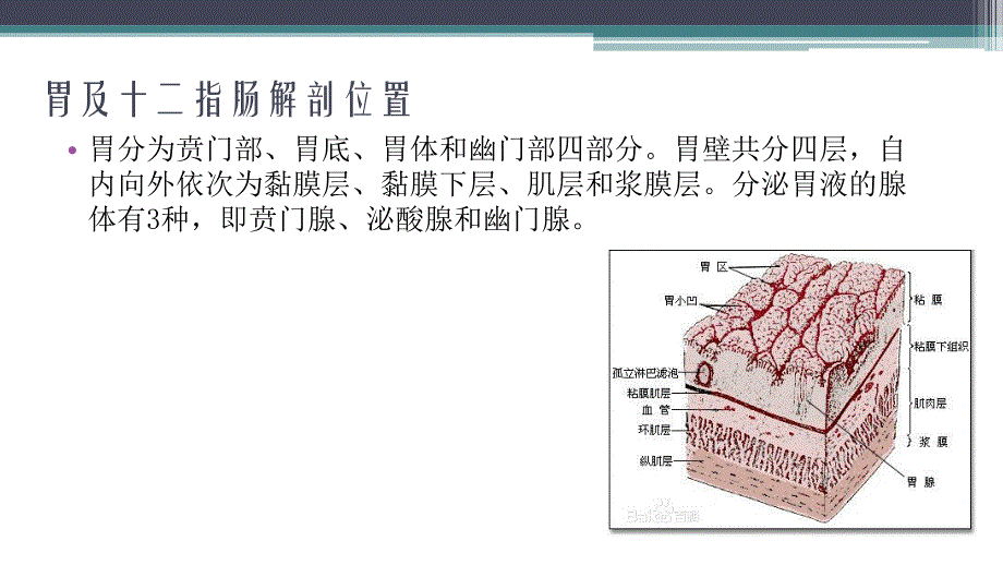 消化性溃疡病因病理_第4页