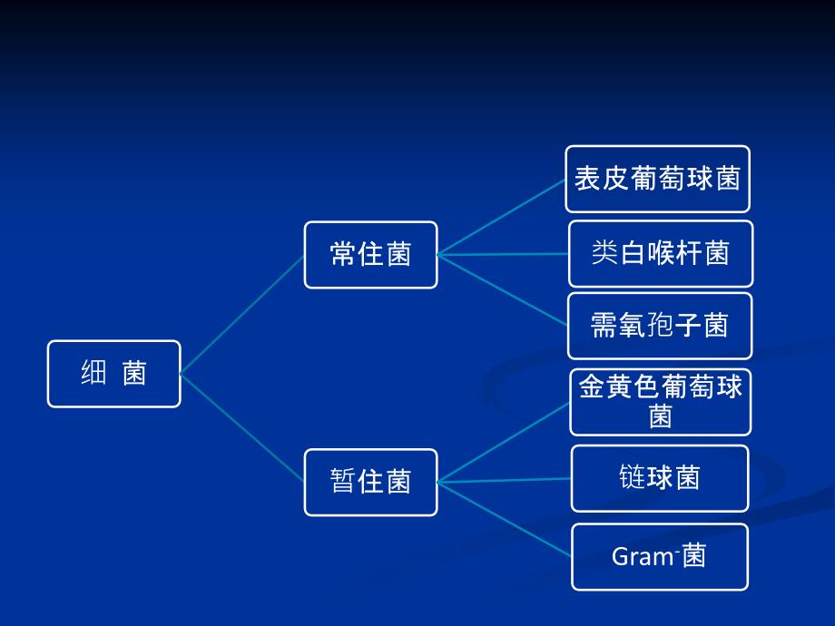 曹伟细菌性皮肤病_第3页