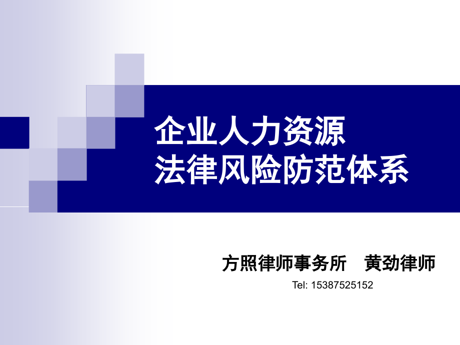 企业人力资源法律风险讲座(黄劲)_第1页