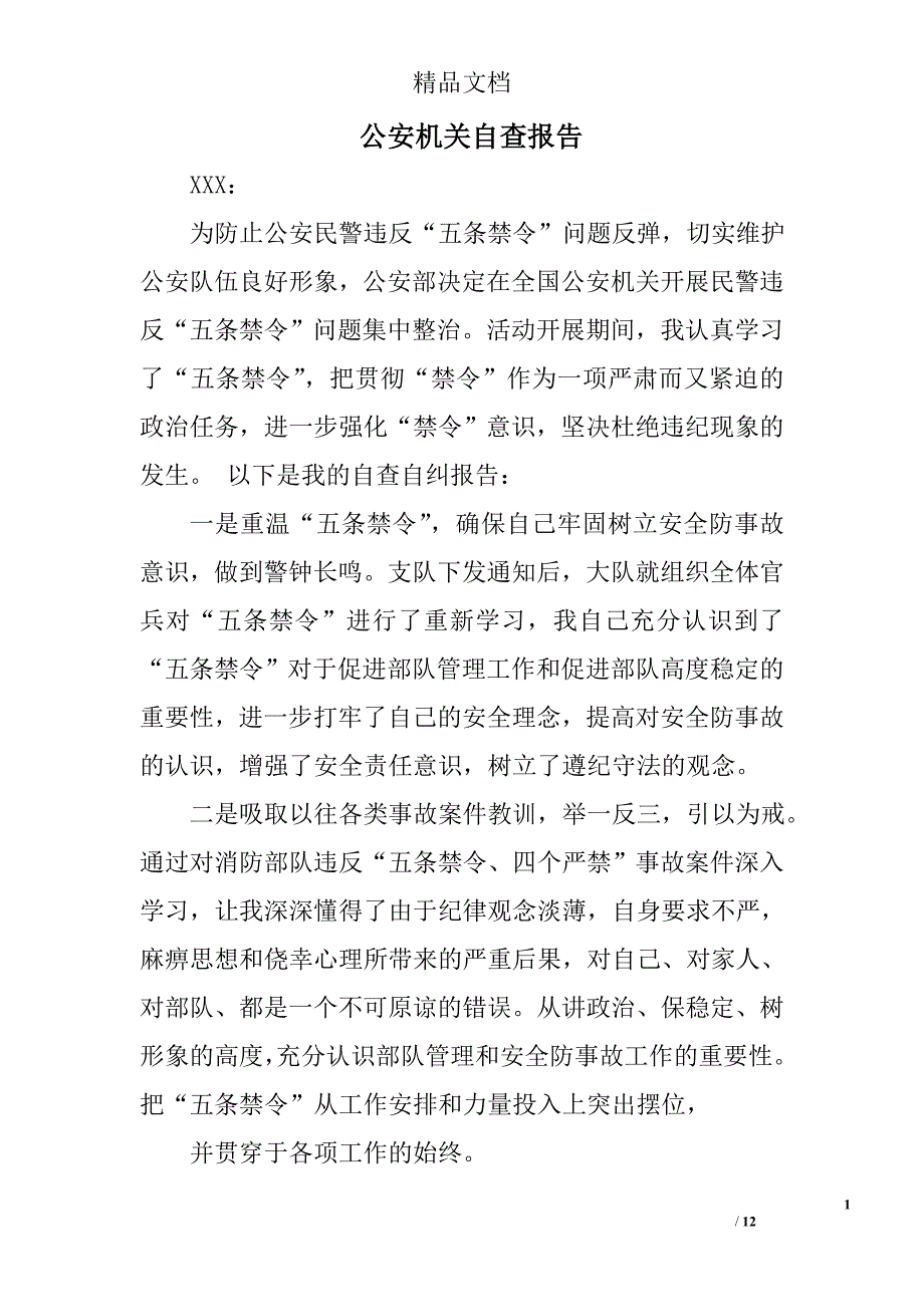 公安机关自查报告精选 _第1页