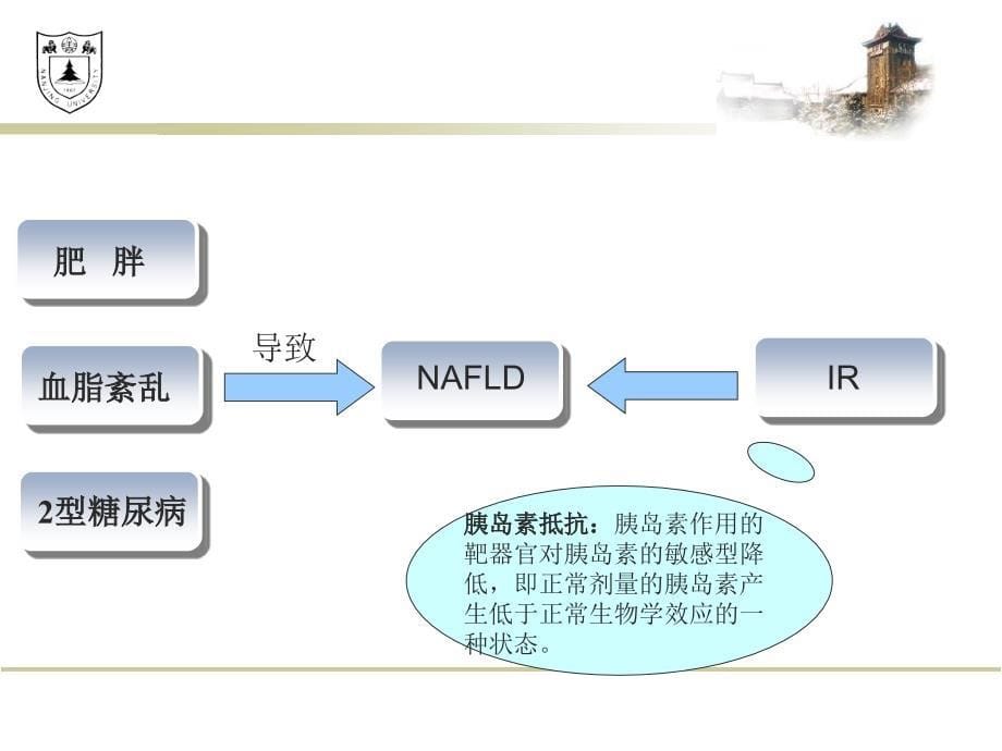 NAFLD的发病机制研究进展及相关药物治疗_第5页