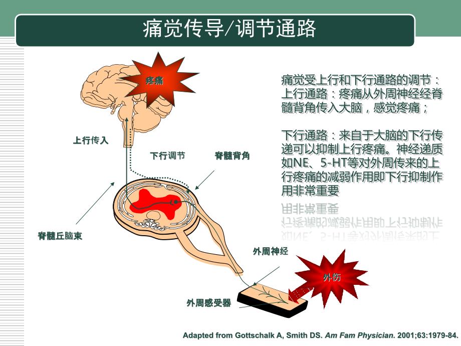 新痛性周围神经痛的诊治南京脑科医院_第4页