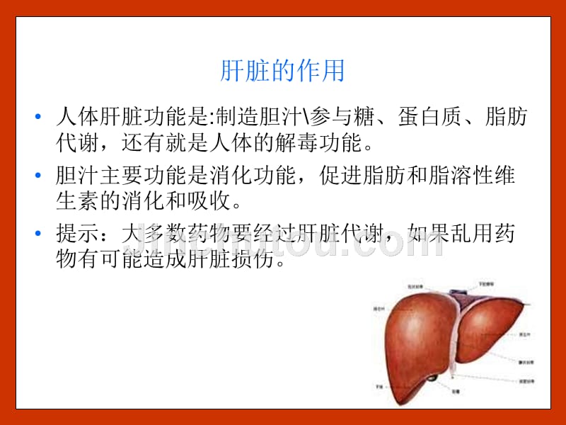 肝得治材料_第3页