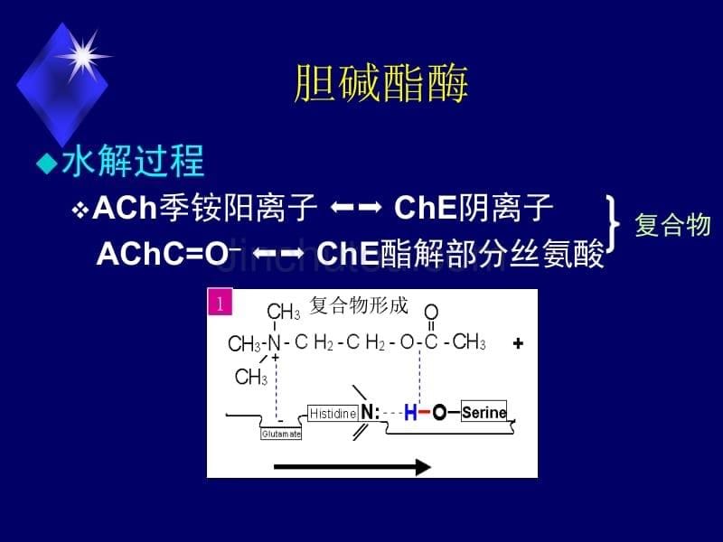 抗胆碱酶药_第5页