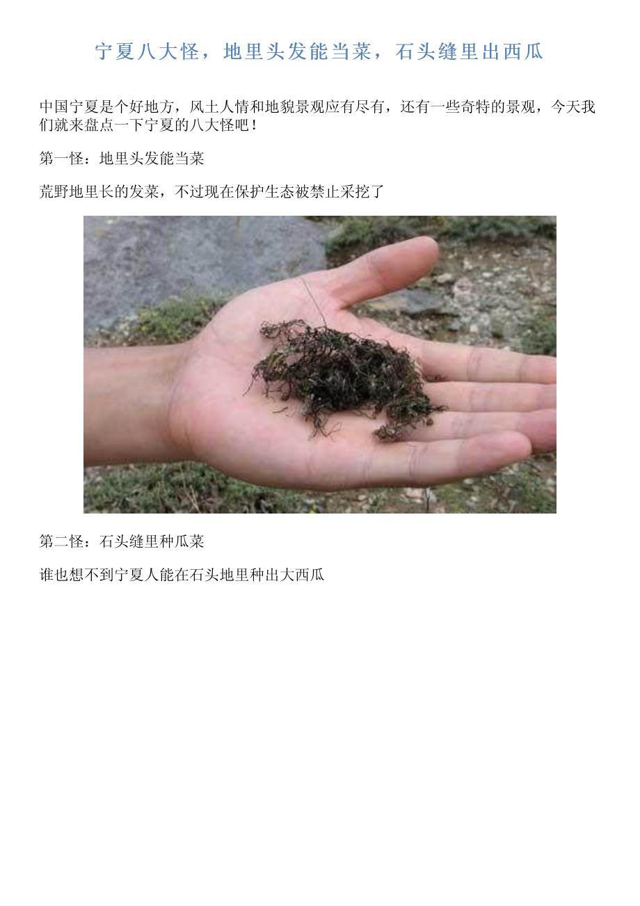 宁夏八大怪,地里头发能当菜,石头缝里出西瓜_第1页