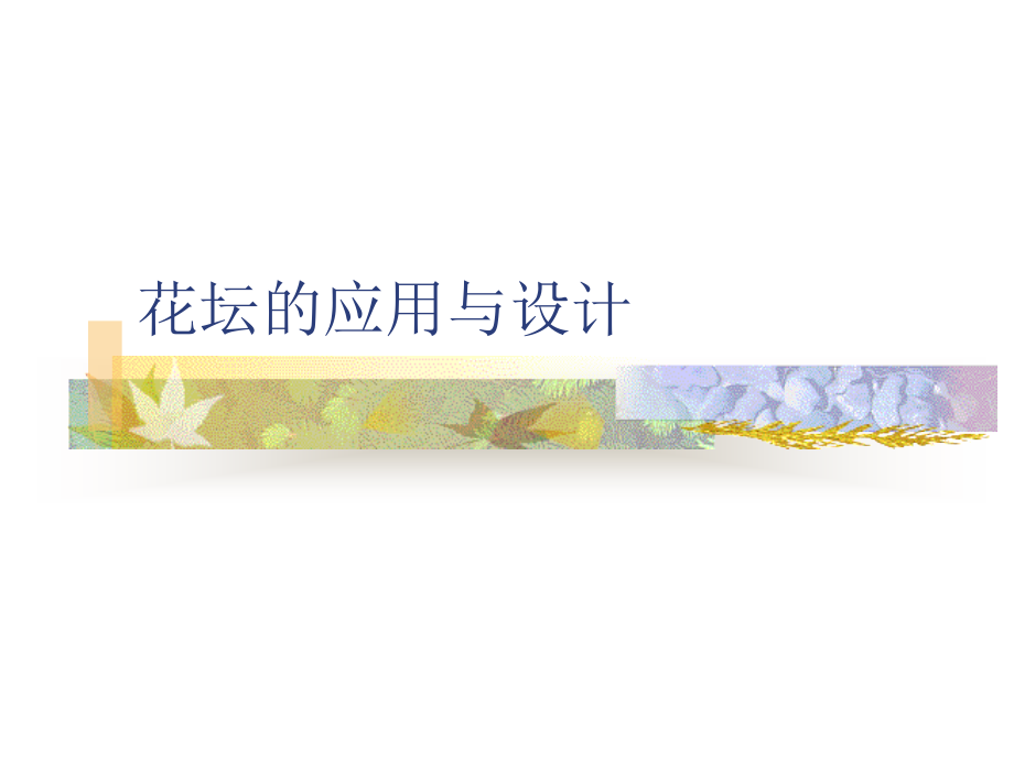 花坛的应用与设计_第1页