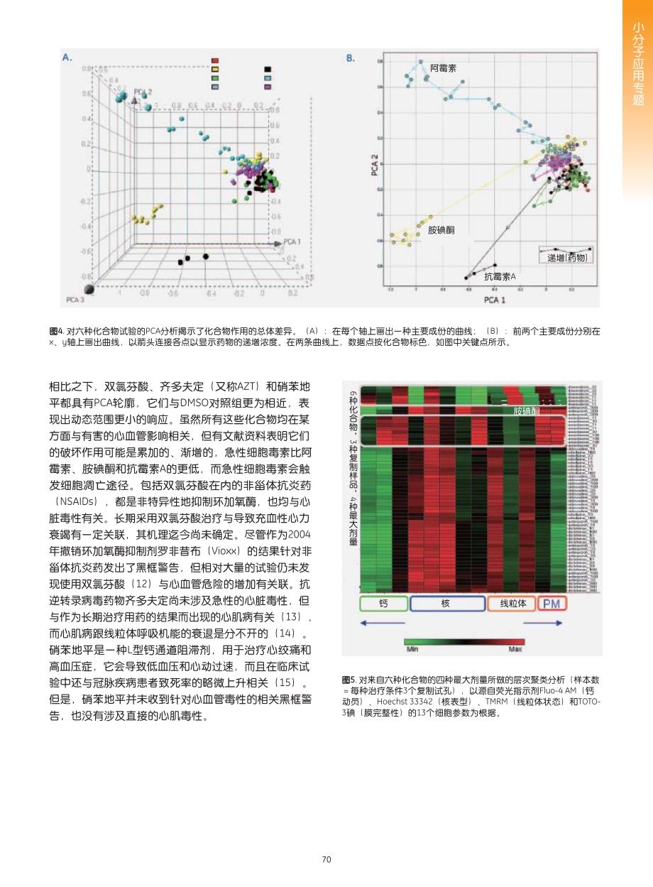 采用心肌细胞进行多重标记活细胞毒性试验的高内涵分析_第4页