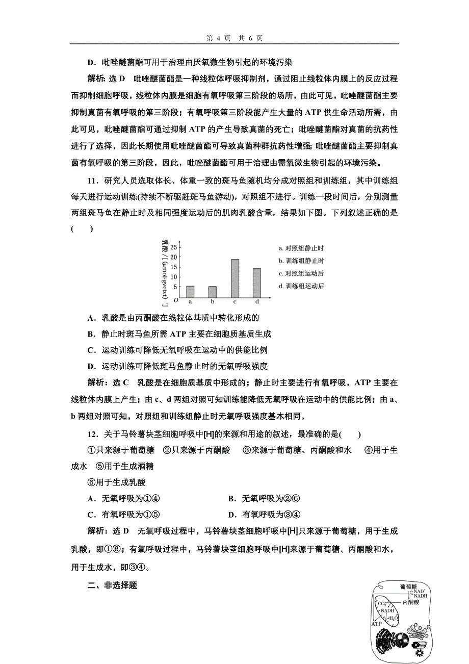 课时跟踪检测(九)  ATP与细胞呼吸的类型、过程_第4页