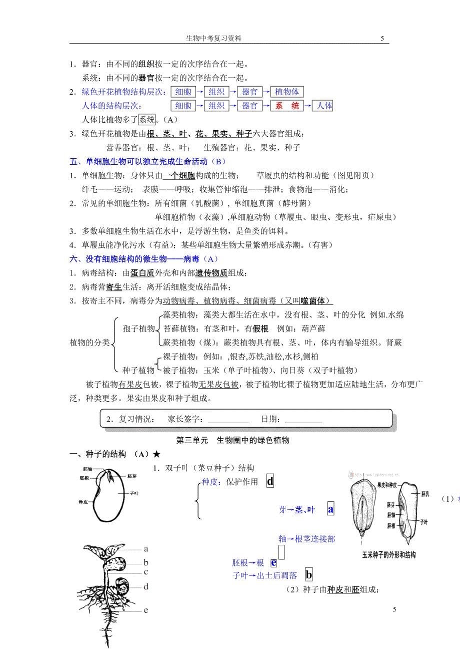 七年级生物上册复习提纲(人教版)--精华_第5页