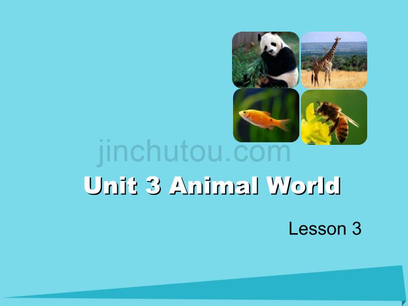 2017年六年级英语上册unit3animalworldlesson3课件人教新起点_第1页
