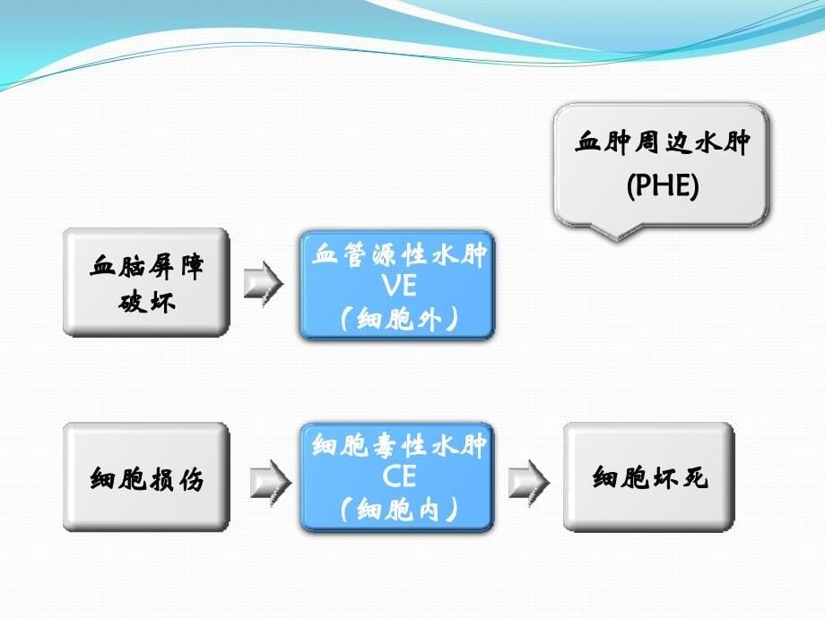 脑出血血肿周边水肿影像学及机理_第5页