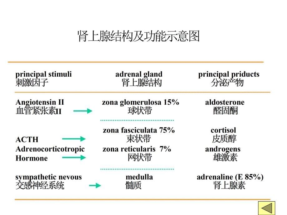 内科学教材课件 库欣综合征_第5页