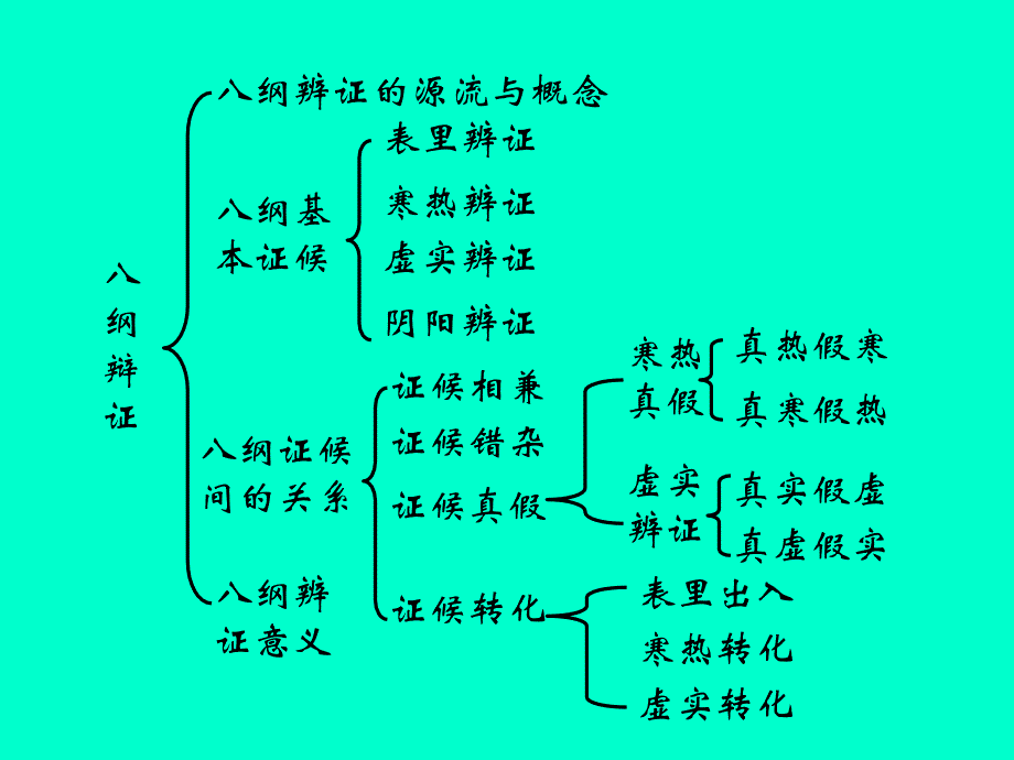 八纲辨证病案分析_第2页