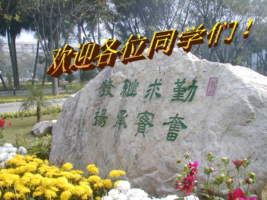 脑、内囊、基底节区损伤定位诊断_第1页